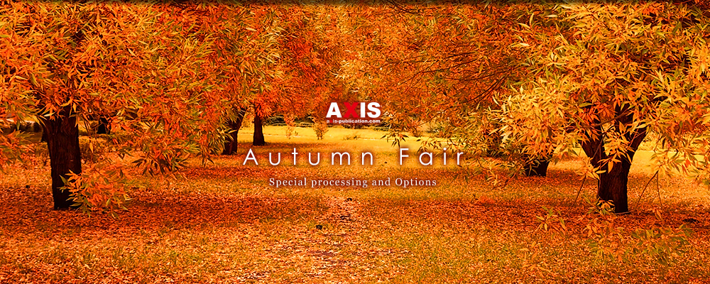 Autumn Fair