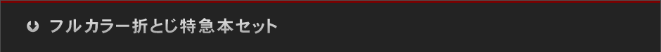 フルカラー折とじ特急本セット