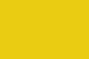 カラー：黄