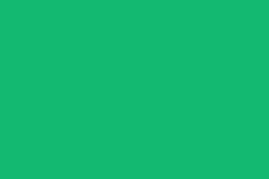 カラー：緑